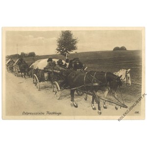 [PRUSY WSCHODNIE] Ostpreussische Flüchtlinge