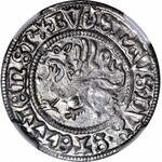 R-, Księstwo Szczecińskie, Bogusław X, Szeląg 1501