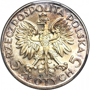 5 złotych 1933, Głowa