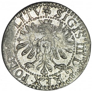 Zygmunt III Waza, Grosz 1610 Wilno, LITVI/LITV, R