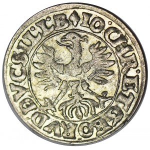 Księstwo Legnicko-Brzesko-Wołowskie, 3 krajcary 1619, Jan Krystian Brzeski i Jerzy Rudolf Legnicki, Złoty Stok 