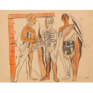 Marek Włodarski (Henryk Streng ) ( 1903 - 1960 ), Anatomická kresba, 1933