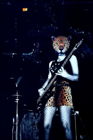 Paulina Zalewska ( 1981 ) , W oczach tygrysa