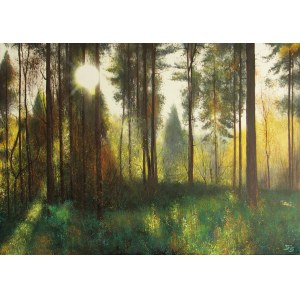 Konrad Hamada, Forest under the Sun, 2021