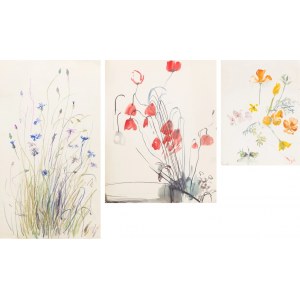 Ewa WIECZOREK (1947 - 2011), Field flowers studies - set of 3 works, 1972 - 2009