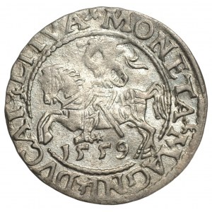 Sigismund II Augustus (1545-1572) - Half-penny 1559 Vilnius - letter A in AVG without bar