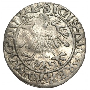 Sigismund II Augustus (1545-1572) - Halbpfennig 1559 Wilna - Buchstabe A in AVG ohne Balken