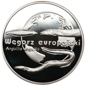 20 zloty 2003 - European Eel + issue folder