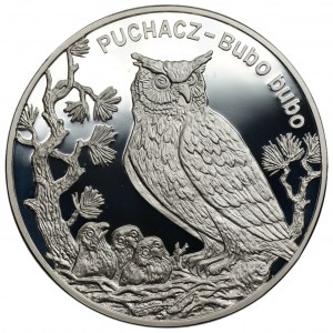 20 złotych 2005 - Puchacz
