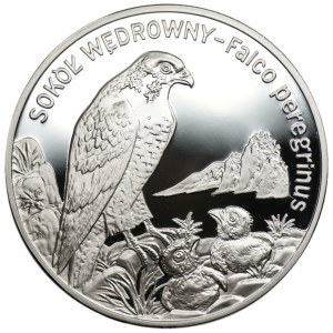 20 złotych 2008 - Sokół Wędrowny