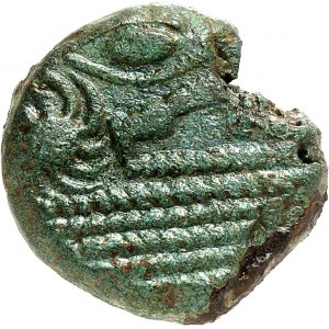 Bellovaques. Bronze lourd à l’éléphant ND (milieu du Ier s. av. J.-C.).