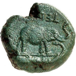 Bellovaques. Bronze lourd à l’éléphant ND (milieu du Ier s. av. J.-C.).