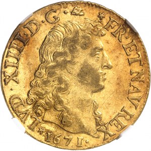 Louis XIV (1643-1715). Louis d’or à la tête nue 1671, D, Lyon.