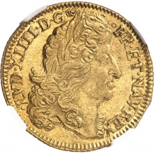 Louis XIV (1643-1715). Double louis d’or à l’écu, flan neuf 1690, S couronnée, Troyes.