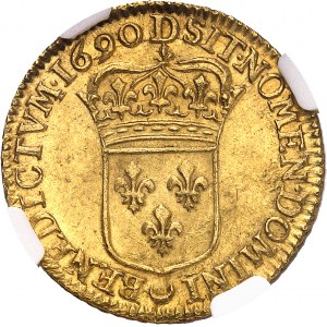 Louis XIV (1643-1715). Louis d’or à l’écu, flan neuf, buste du louis à la perruque 1690, D, Lyon.