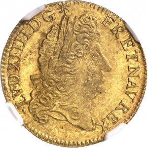 Louis XIV (1643-1715). Louis d’or à l’écu 1691, B, Rouen.