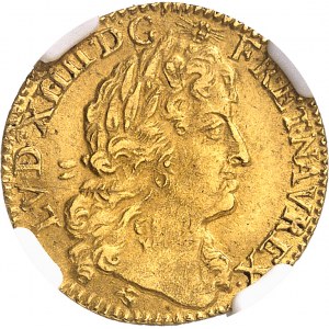 Louis XIV (1643-1715). Demi-louis d’or à l’écu, buste du demi-louis d’or à la perruque 1690, D, Lyon.