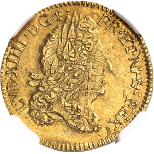 Louis XIV (1643-1715). Demi-louis d’or à l’écu 1691, S couronnée, Troyes.