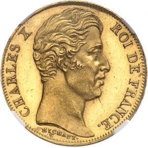 Charles X (1824-1830). 20 francs, tranche inscrite en relief (lis) DOMINE SALVUM FAC REGEM, Flan bruni (PROOF) 1830, A, Paris.
