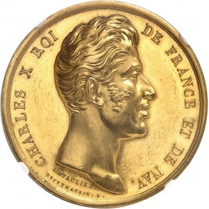 Charles X (1824-1830). Médaille d’Or, Exposition de 1824, à Nicolas-Pierre Tiolier, statuaire graveur, par Depaulis 1824, Paris.