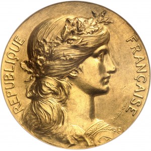 IIIe République (1870-1940). Médaille d’Or, prix de chirurgie d’armée, au médecin-major de 2e classe Forgue, J.-B. Daniel-Dupuis 1894, Paris.