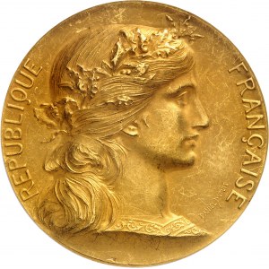 IIIe République (1870-1940). Médaille d’Or, mission Marchand en Afrique de l’Est (et reculade de Fachoda), par Jean-Baptiste Daniel-Dupuis 1897-1899, Paris.