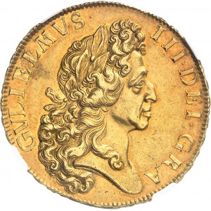 Guillaume III (1694-1702). 5 guinées, 2e buste 1701, Londres.