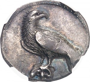 Bruttium, Crotone. Statčre ou nomos ND (425-350 av. J.-C.), Crotone.
