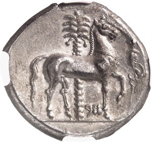 Sicile, émissions siculo-puniques. Tétradrachme ND (350-315 av. J.-C.), Entella.