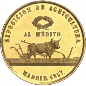 Isabelle II (1833-1868). Médaille d’Or, Exposition agricole de Madrid par Bouvet 1857, Paris.