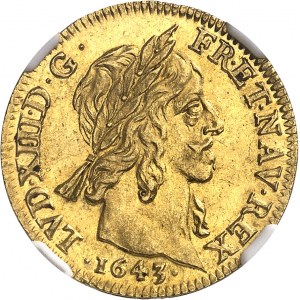 Louis XIII (1610-1643). Louis d’or ŕ la mčche mi-longue et + 1643, A, Paris.