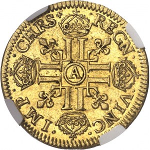 Louis XIII (1610-1643). Louis d’or ŕ la mčche mi-longue et + 1643, A, Paris.