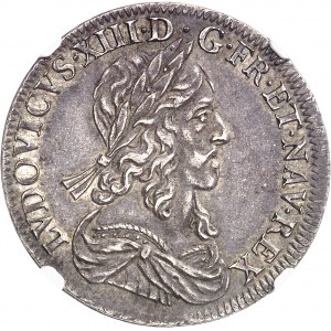 Louis XIII (1610-1643). Demi-écu, 3e type 1643, A, Paris (rose).