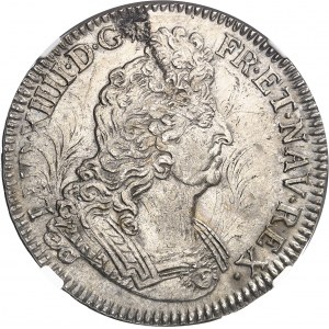 Louis XIV (1643-1715). Écu aux insignes 1701, P, Dijon.