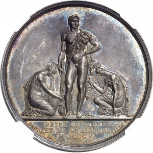 Premier Empire / Napoléon Ier (1804-1814). Médaille, prise de Vienne et de Presbourg, par Droz et Galle 1805, Paris.