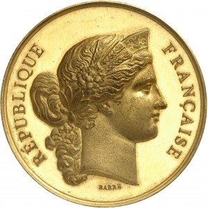 IIIe République (1870-1940). Médaille d’Or, concours agricole “bon aménagement de porcherie”, par Barre 1879, Paris.