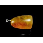 Pendant with Baltic Amber - silver - BUR1G
