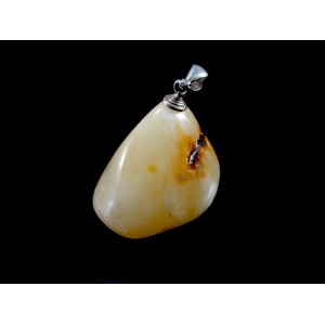 Pendant with Amber - silver - BUR1F