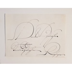 Franciszek Starowieyski, Kalligraphie