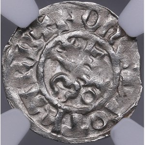 Dorpat artig - Dietrich III Damerov (1379-1400) - NGC MS 62