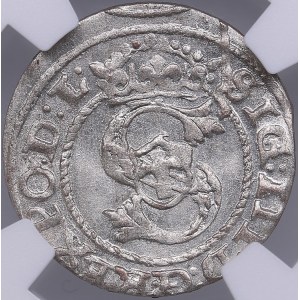 Riga, Poland solidus 1595 - Sigismund III (1587-1632) - NGC MS 66