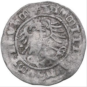 Lithuania, Poland 1/2 grosz ND - Sigismund I (1506-1548)