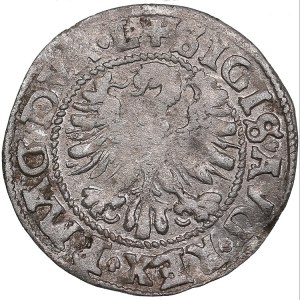 Lithuania, Poland 1/2 grosz 1546 - Sigismund I (1506-1548)