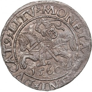 Lithuania, Poland 1/2 grosz 1550 - Sigismund II Augustus (1545-1572)