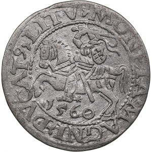 Lithuania, Poland 1/2 grosz 1560 - Sigismund II Augustus (1545-1572)