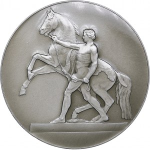 Russia - USSR medal Leningrad. Horse tamers. Sculptural group on the Anichkov bridge, 1958