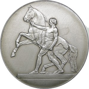 Russia - USSR medal Leningrad. Horse tamers. Sculptural group on the Anichkov bridge, 1958