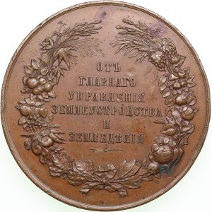 Russia medal From the ministry of Agriculture and State property. ND