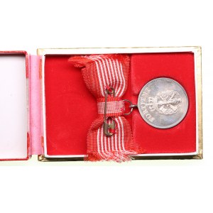 Denmark medal Fortjent