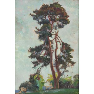 Stanislaw PACIOREK (1889-1952), Pine Tree, 1929
